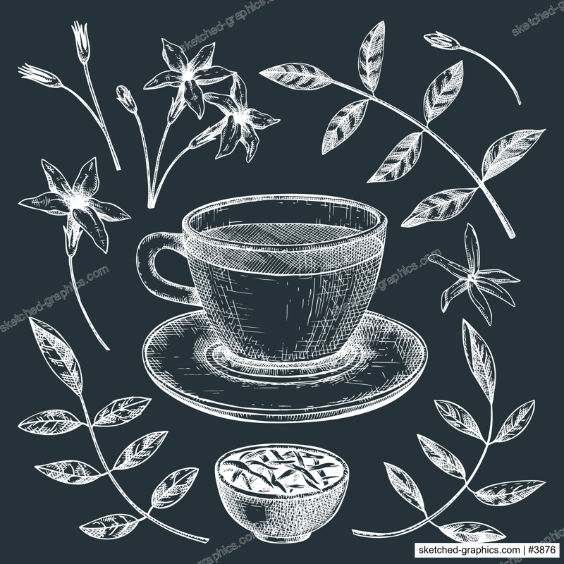 Hand-sketched jasmine tea in a glass mug illustrations on chalkboard. Vector sketch of hot drink in an elegant cup, dried leaves, jasmine blossom. Green Tea drawing for menu design.