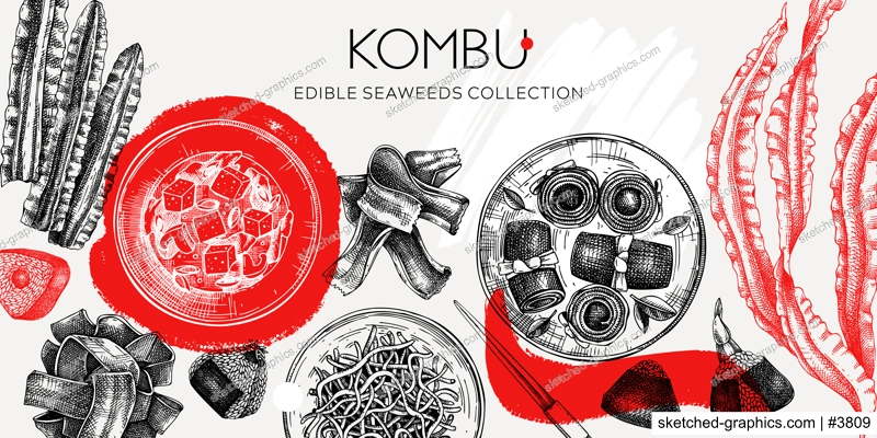 Hand-drawn Kombu banner design. Edible seaweed drawings in collage style. Sea vegetable illustrations. Healthy food vector background. Japanese cuisine. Trendy restaurant menu design.