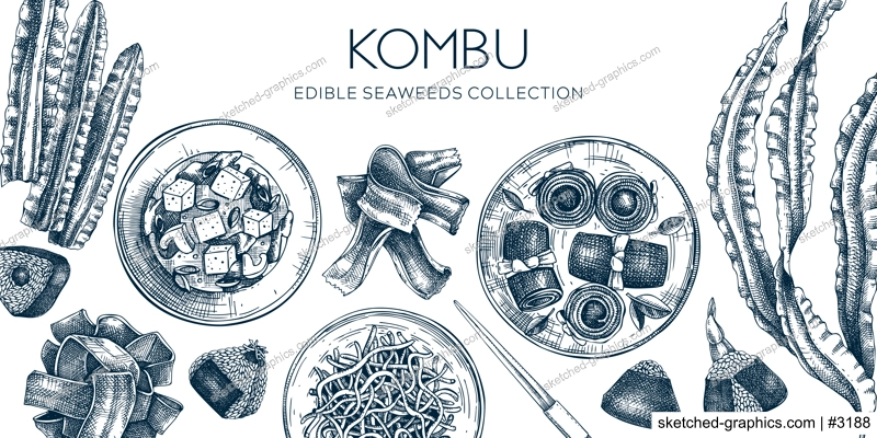 Hand-drawn Kombu banner design in sketch style. Edible seaweed and sea vegetable illustrations. Healthy food vector background. Japanese cuisine restaurant menu design.