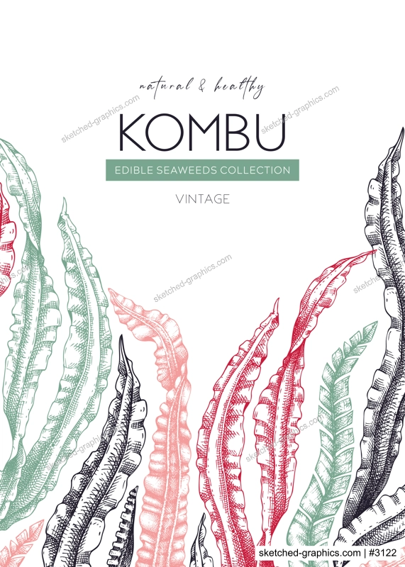 Hand drawn Kombu card design. Laminaria botanical frame. Seaweed drawing isolated on white background. Healthy food ingredients illustration. Wedding invitation template in color