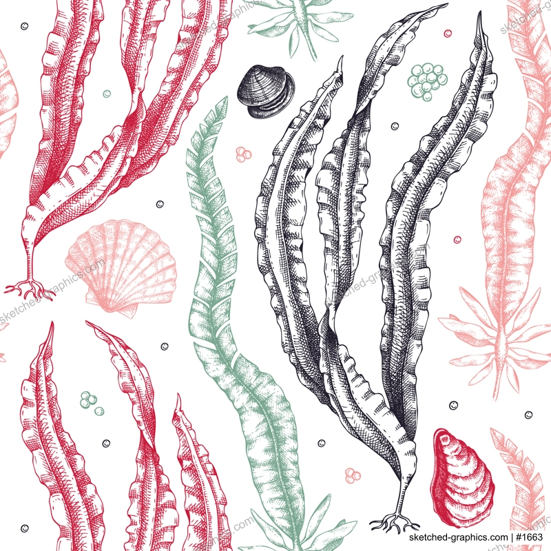 Hand-drawn Kombu background. Laminaria botanical illustration in sketch style. Edible seaweed seamless pattern. Sea life drawings. For menu design, textile, wrapping paper, print