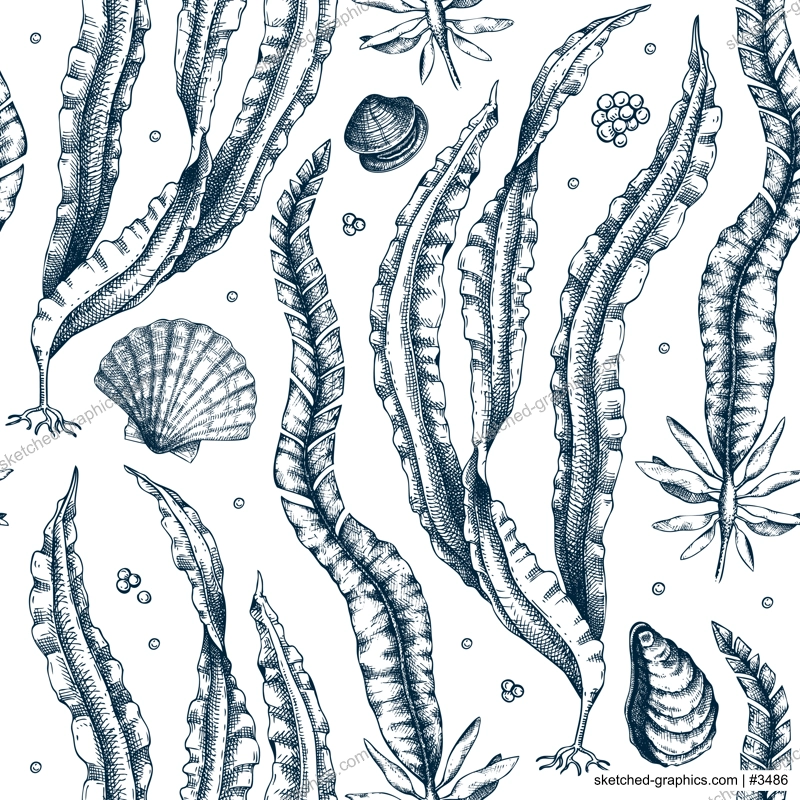 Hand-drawn Kombu background. Laminaria botanical illustration in sketch style. Edible seaweed seamless pattern. Sea life drawings. For menu design, textile, wrapping paper, print