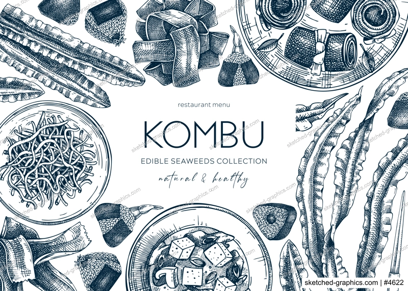 Hand-drawn Kombu banner design. Edible seaweed drawings. Sea vegetable illustration in sketch style. Healthy food vector background. Asian cuisine restaurant menu template