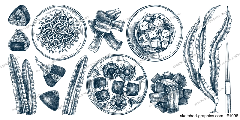Hand drawn Kombu sketches set. Edible seaweed drawing isolated on white background. Sea vegetables vector illustrations. Japanese cuisine dishes, healthy food ingredients in engraved style
