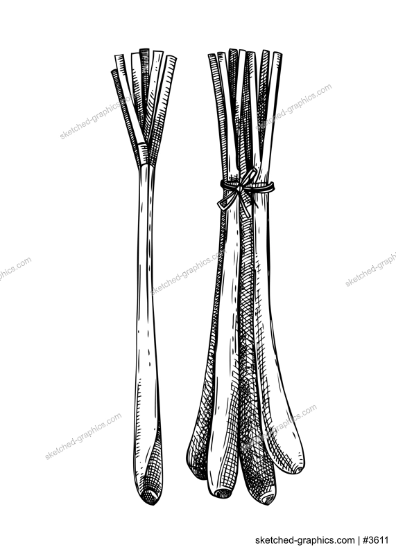 lemongrass
