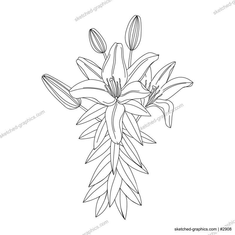 Lily flower illustration. Modern botanical drawing for pattern, logo, template, banner, posters, invitation and greeting card design. Black lily outline. Summer flower design.