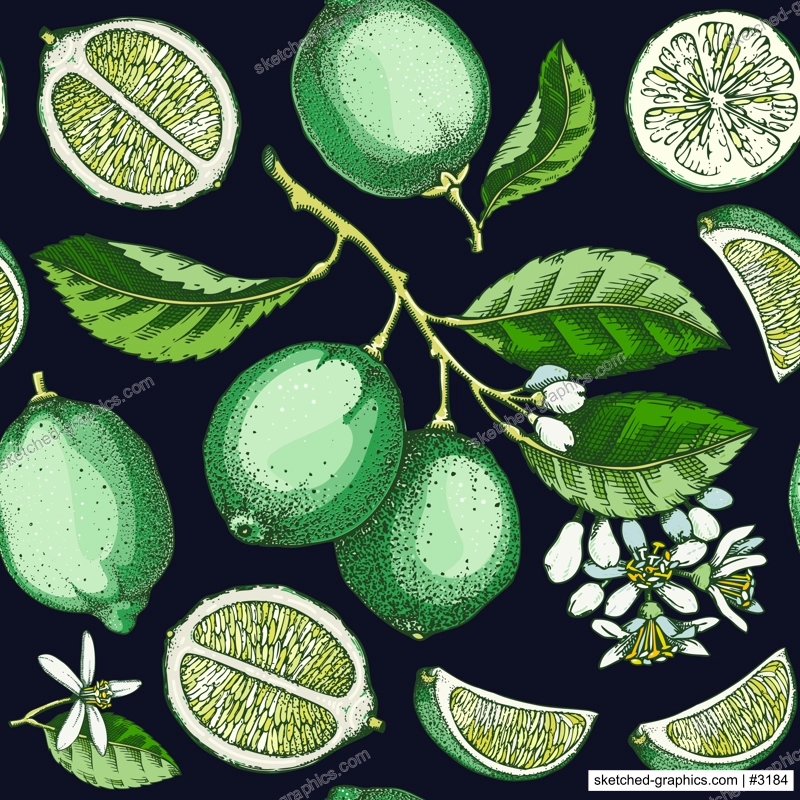 Exotic plants seamless pattern. Lime fruit and flowers sketches. Botanical background. Citrus fruit texture. Hand drawn vector illustration. NOT AI generated