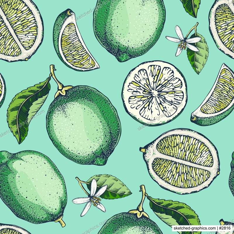 Lime fruit background. Citrus fruit sketches. Watercolor style botanical design. Exotic plants seamless pattern. Hand-drawn vector illustration. NOT AI generated