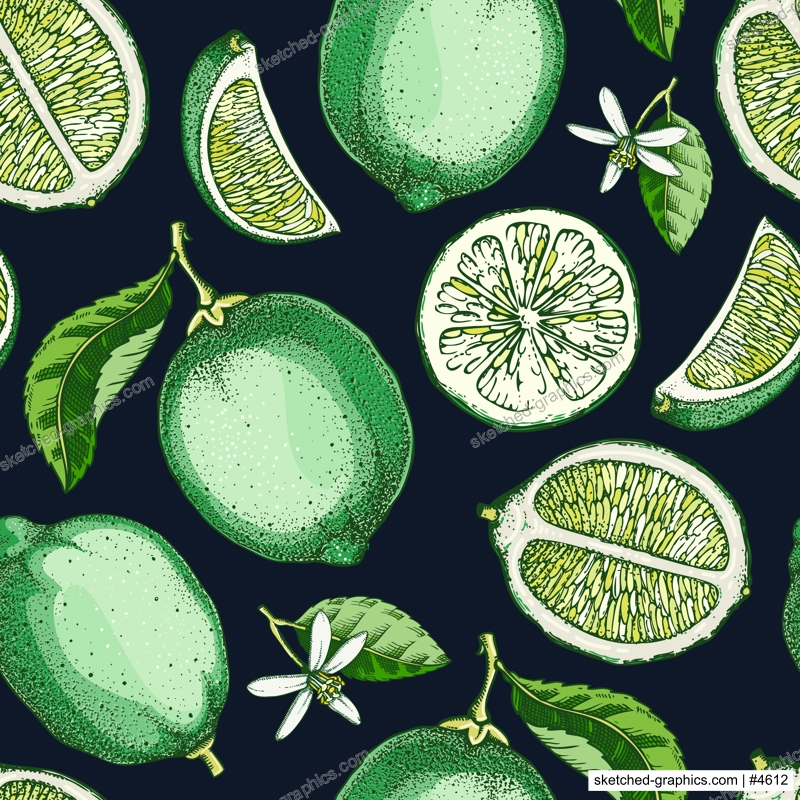Lime fruit background. Citrus fruit sketches. Watercolor style botanical design. Exotic plants seamless pattern. Hand-drawn vector illustration. NOT AI generated