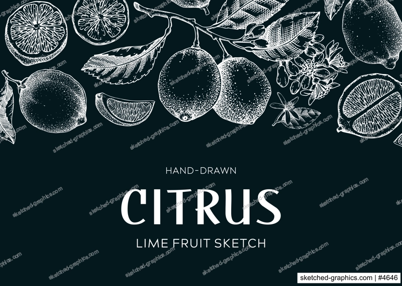 Lime fruit frame. Exotic plants design template. Citrus fruit sketches on chalkboard. Summer background. Hand drawn vector illustration. NOT AI generated
