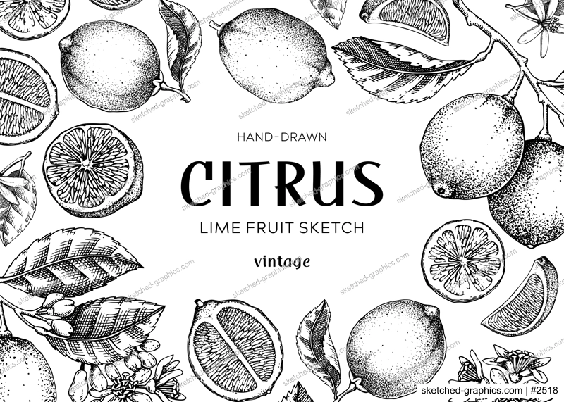 Lime fruit frame. Exotic plants design template. Citrus fruit sketches. Summer background. Hand drawn vector illustration. NOT AI generated