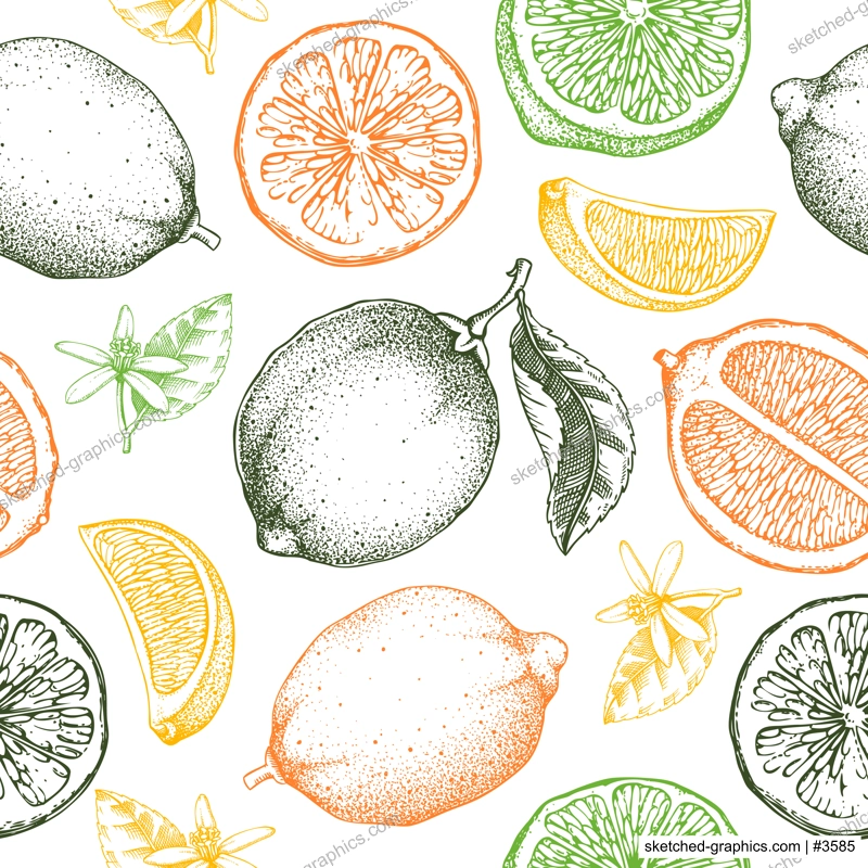 Lime fruit seamless pattern. Citrus fruit sketches in color. Botanical background. Exotic plants texture. Hand drawn vector illustration. NOT AI generated