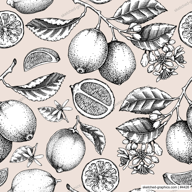Lime fruit seamless pattern. Citrus fruit sketches. Botanical background. Exotic plants texture. Hand drawn vector illustration. NOT AI generated
