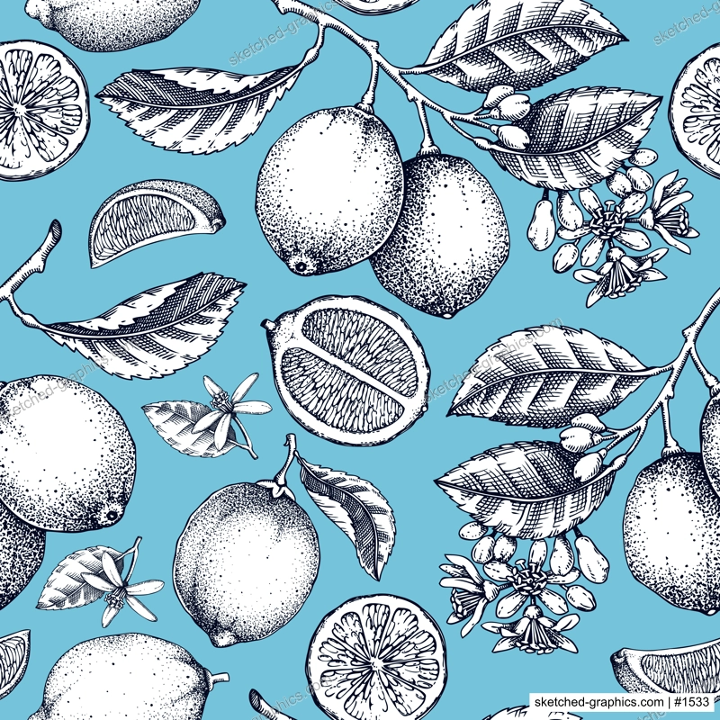 Lime fruit seamless pattern. Blue citrus fruit sketches. Botanical background. Exotic plants texture. Hand drawn vector illustration. NOT AI generated