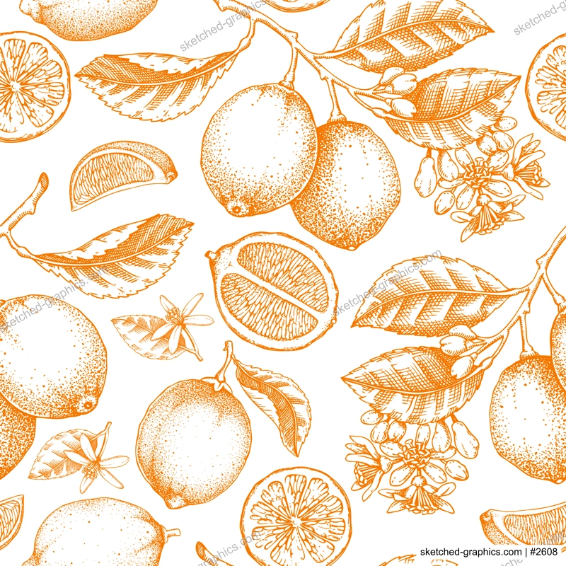 Lime fruit seamless pattern. Citrus fruit sketches. Botanical background. Exotic plants texture. Hand drawn vector illustration. NOT AI generated