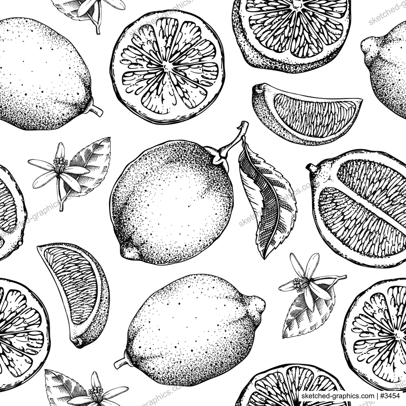 Citrus fruit seamless pattern. Lime fruit classic style sketches. Botanical background. Exotic plants and flowers texture. Hand drawn vector illustration. NOT AI generated