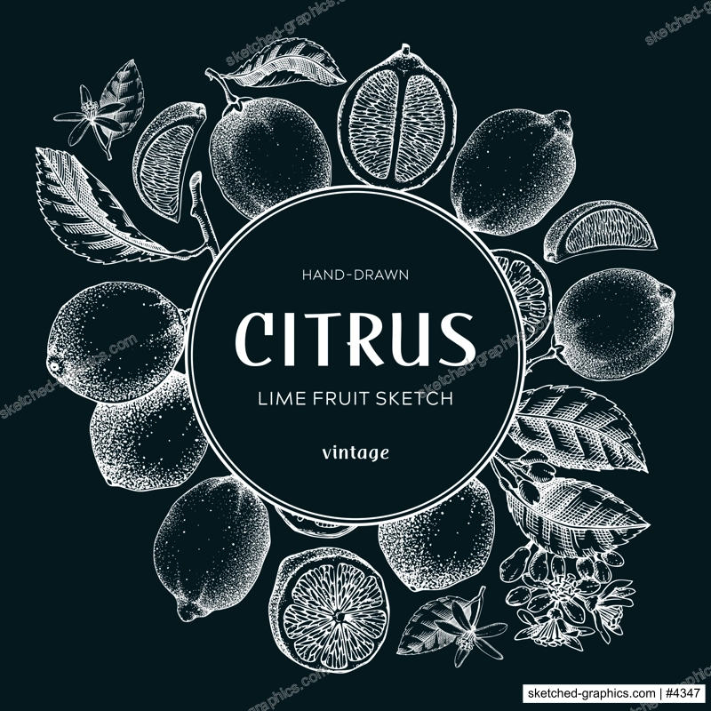 Lime fruit fwreath. Botanical design template. Citrus fruit sketches on chalkboard. Exotic plants frame. Hand drawn vector illustration. NOT AI generated
