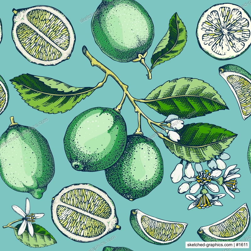 Decorative citrus fruit seamless pattern. Lime fruit sketches. Watercolor style botanical background. Exotic plants texture. Hand drawn vector illustration. NOT AI generated