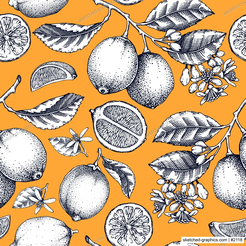 Lime fruit seamless pattern. Citrus fruit sketches. Classic botany background. Exotic plants texture. Hand drawn vector illustration. NOT AI generated