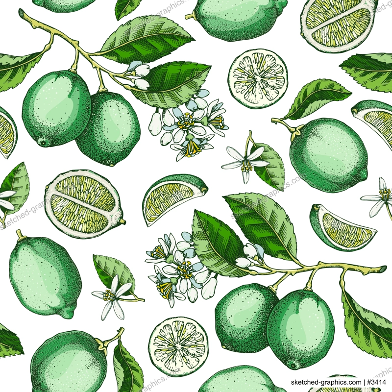 Lime fruit seamless pattern. Citrus fruit sketches watercolor style. Botanical background. Exotic plants texture. Hand drawn vector illustration. NOT AI generated