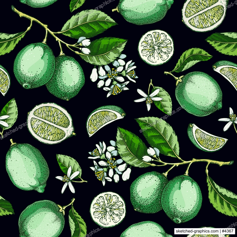 Lime fruit seamless pattern. Citrus fruit, branches, flowers sketches. Botanical background. Exotic plants texture. Hand drawn vector illustration. NOT AI generated