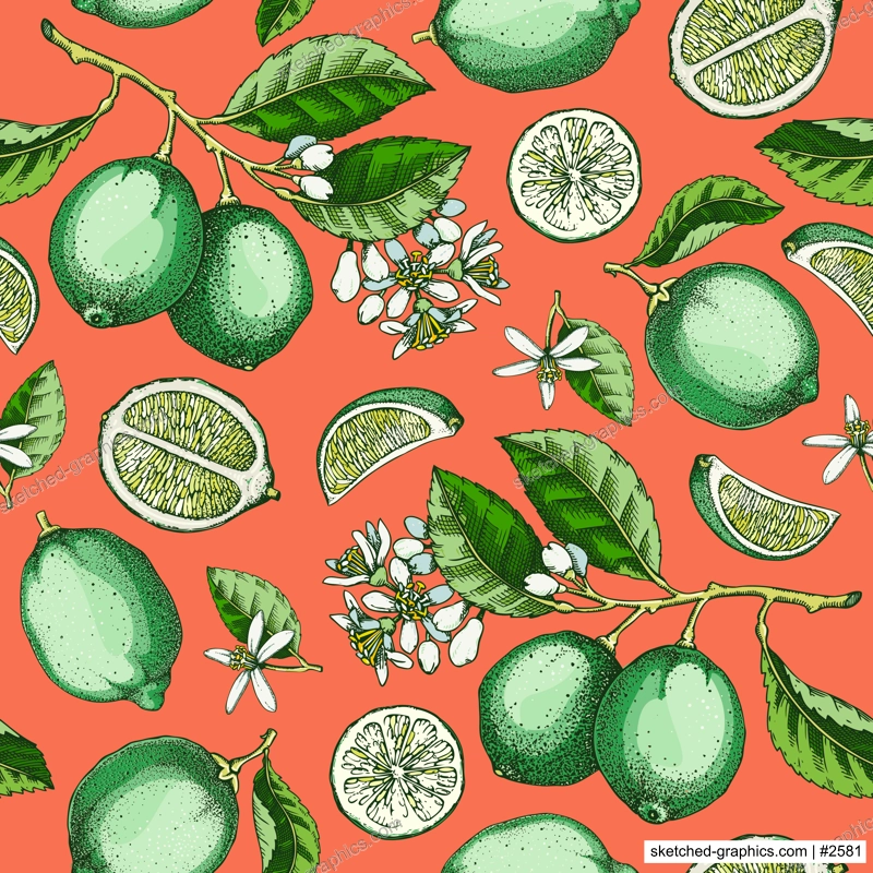 Lime fruit seamless pattern. Citrus fruit sketches. Mixed media botanical background. Exotic plants texture. Hand drawn vector illustration. NOT AI generated