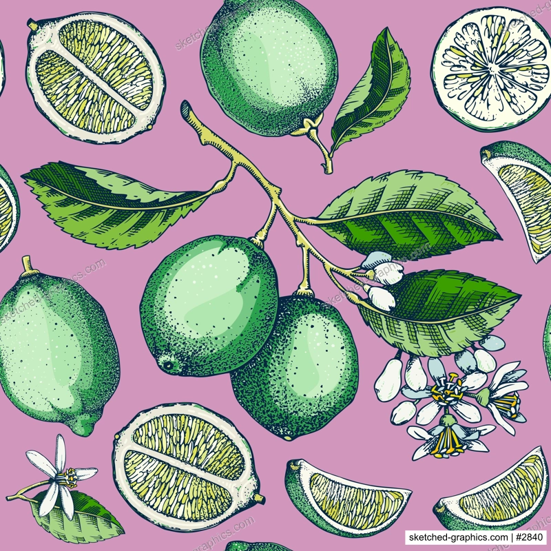 Lime fruit seamless pattern. Citrus fruit sketches. Watercolor style botanical background. Exotic plants texture. Hand drawn vector illustration. NOT AI generated