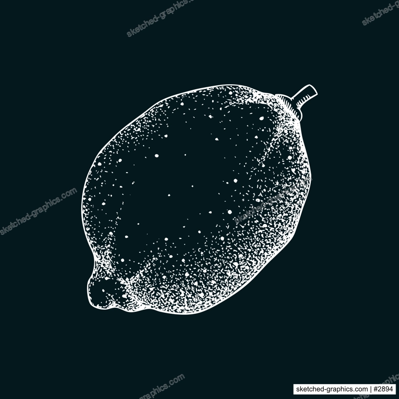 Vintage lime sketch on chalkboard. Citrus fruit hand-drawn vector illustration. Exotic plant drawing in engraved style. Botanical design element. NOT AI-generated