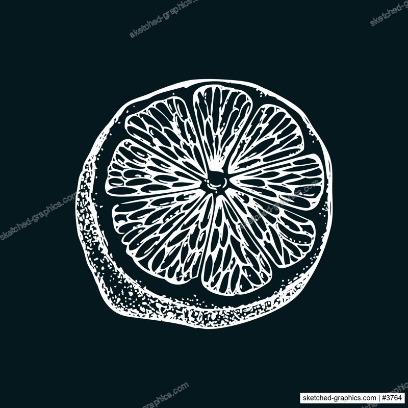 Vintage lime sketch on chalkboard. Citrus fruit slice hand-drawn vector illustration. Exotic plant drawing in engraved style. Botanical design element. NOT AI-generated