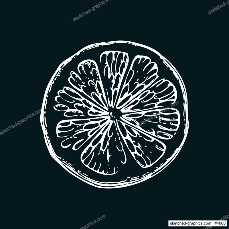 Vintage lime sketch on chalkboard. Citrus fruit slice hand-drawn vector illustration. Exotic plant drawing in engraved style. Botanical design element. NOT AI-generated