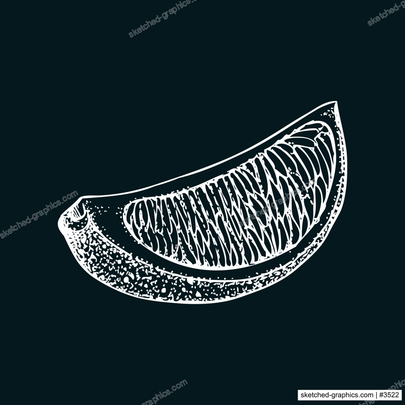 Vintage lime sketch on chalkboard. Citrus fruit slice hand-drawn vector illustration. Exotic plant drawing in engraved style. Botanical design element. NOT AI-generated