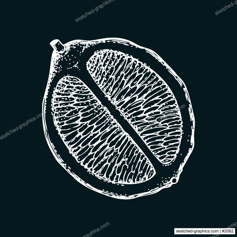 Vintage lime sketch on chalkboard. Citrus fruit slice hand-drawn vector illustration. Exotic plant drawing in engraved style. Botanical design element. NOT AI-generated