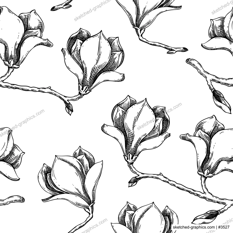 Magnolia background. Blooming tree branches sketches. Magnolia hand-drawn vector illustration. Spring seamless pattern. NOT AI genereted