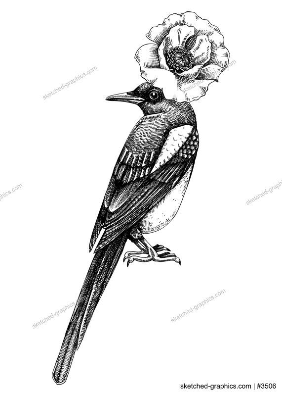 Artistic illustration with magpie in sketch style. Hand drawn design with bird and poppy flower. Wild life vector drawing. Perfect for print, poster, card, social media posts, wall art.