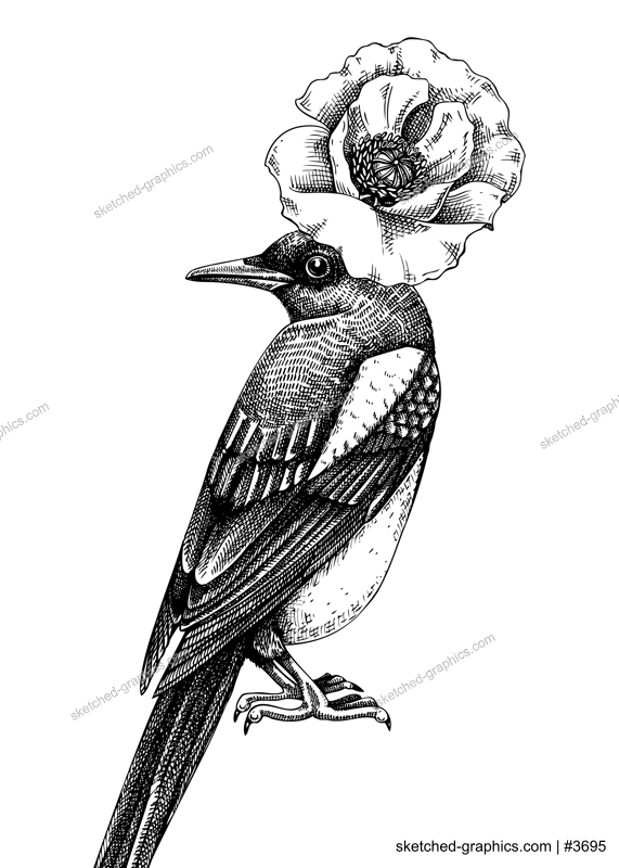 Artistic illustration with magpie in sketch style. Hand drawn design with bird and poppy flower. Wild life vector drawing. Perfect for print, poster, card, social media posts, wall art.