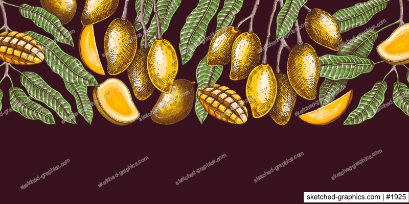 Ripe mango background. Tropical fruit hand drawn vector illustration. Exotic plant with fruit, leaves, branches sketches in color. Summer food banner,  juice packaging, menu design in color