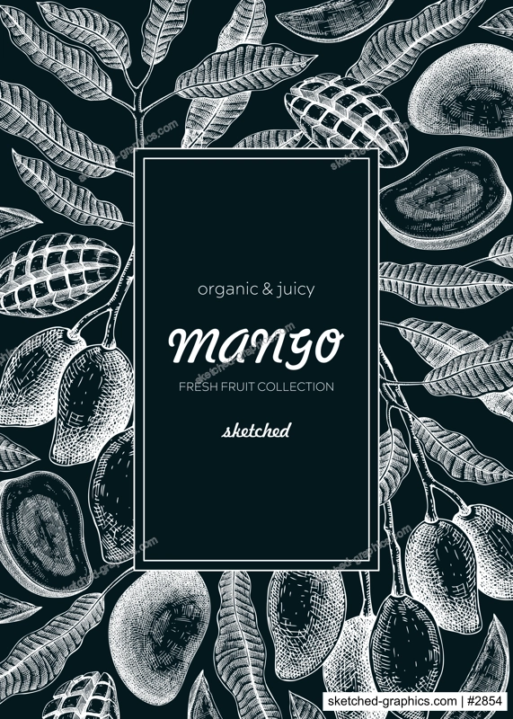 Fruit design template on chalkboard. Realistic mango hand-drawn vector illustration. Exotic fruit, mango tree branches, leaves sketches. Vintage frame, packaging, Healthy food. Summer design element