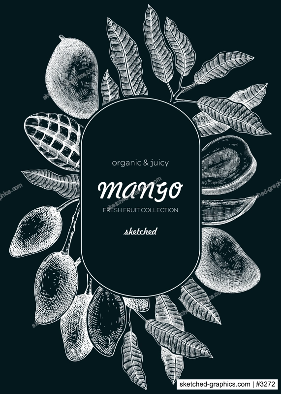 Fruit design template on chalkboard. Realistic mango hand-drawn vector illustration. Exotic fruit, mango tree branches, leaves sketches. Vintage frame, packaging, Healthy food. Summer design element