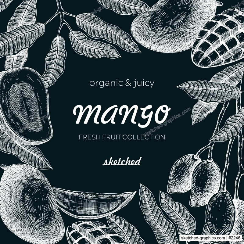 Tropical fruit frame on chalkboard. Ripe mango sketch. Hand drawn vector illustration. Packaging, menu template, juice design. Exotic plants background. NOT AI generated.