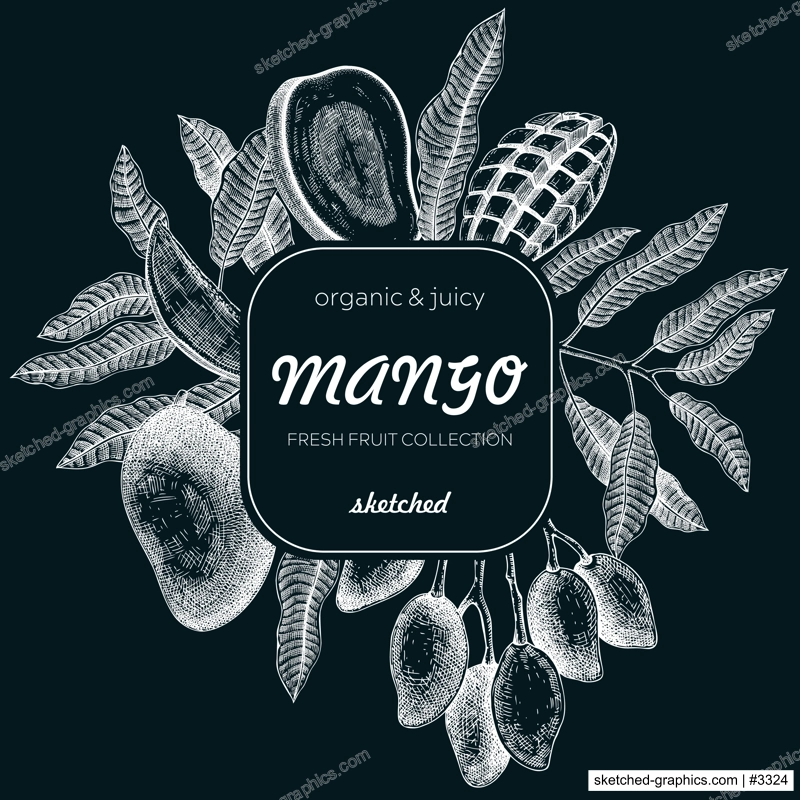 Summer background. Tropical fruit sketch on chalkboard. Mango hand-drawn vector illustration. Exotic plants frame. Juice packaging, invitation card template, print design. NOT AI generated