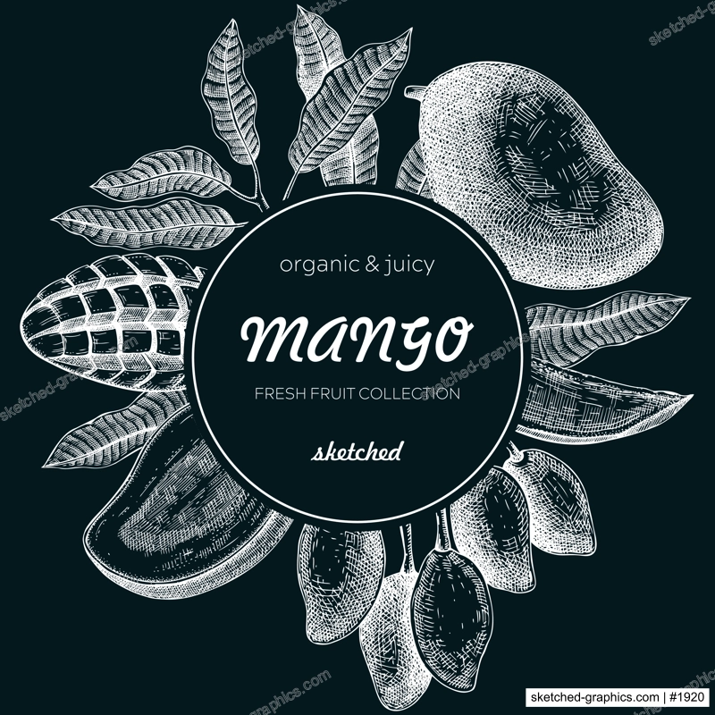  Tropical fruit banner. Summer background. Mango sketch on chalkboard, hand-drawn vector illustration. Juice packaging, invitation card template, print design. NOT AI generated