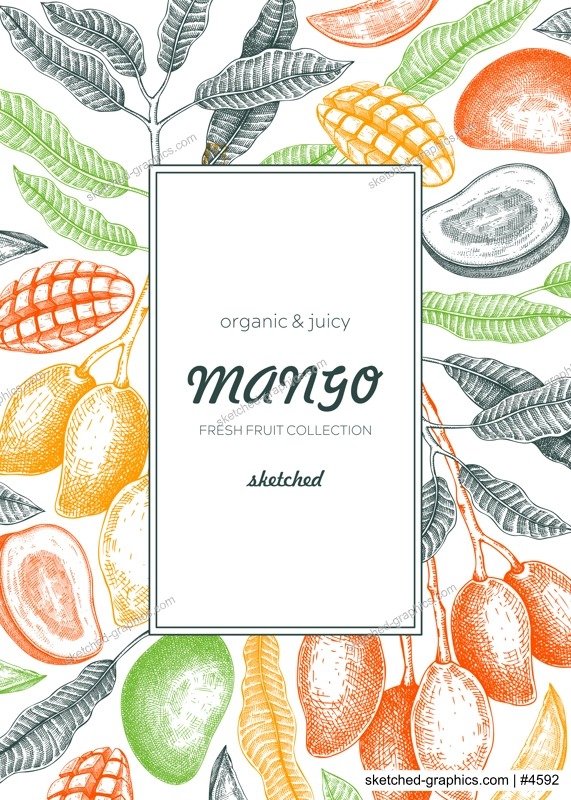 Tropical fruit frame design. Summer background. Mango fruit sketch, hand-drawn vector illustration. Juice packaging, card invitation, label template. NOT AI generated