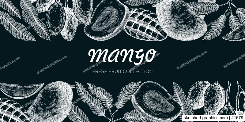 Summer background. Mango fruit sketch on chalkboard, hand-drawn vector illustration. Tropical plant banner, juice packaging, print design. NOT AI generated