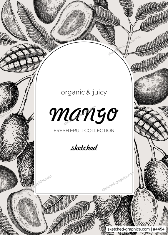 Fruit design template. Realistic mango hand-drawn vector illustration. Mango fruit, tree branches, leaves sketches. Vintage frame, juice packaging, print. Healthy food, summer design element