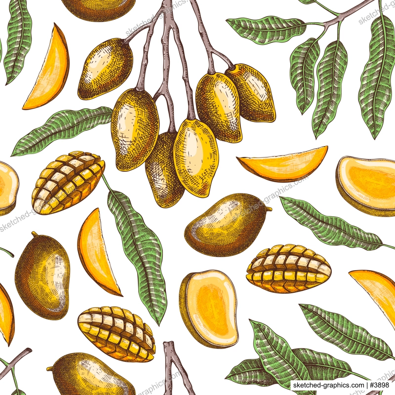 Ripe mango background. Tropical fruit seamless pattern in color. Hand drawn vector illustration. Exotic plant with fruit, leaves, branches sketches. Summer food design, juice packaging, wrapping paper