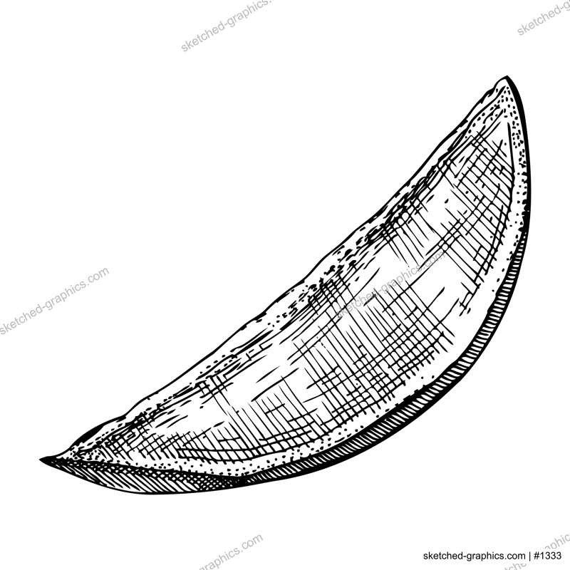 Hand drawn mango sketch. Tropical fruit vector illustration isolated on white background. Sliced mango in engraved style. Botanical drawing for label, juice packaging design, menu