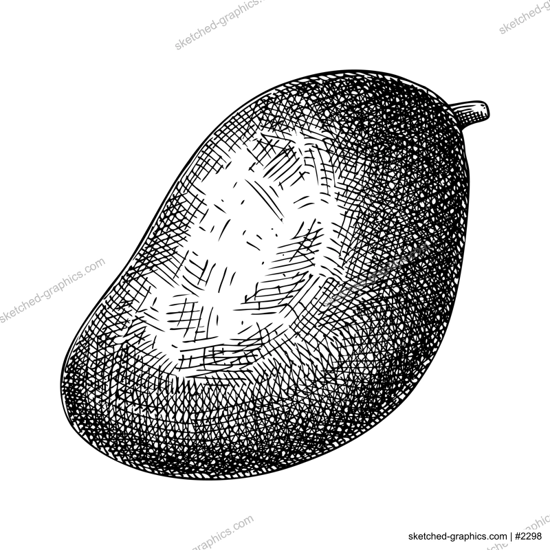 Hand drawn mango sketch. Tropical fruit vector illustration isolated on white background. Whole mango in engraved style. Botanical drawing for label, juice packaging design, menu