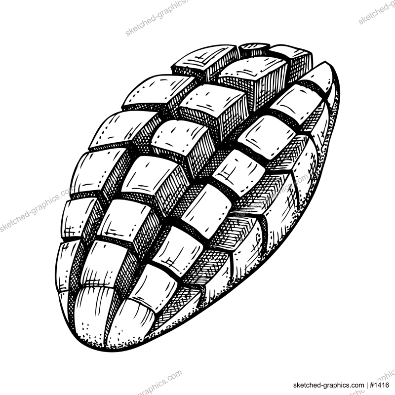 Hand drawn mango sketch. Tropical fruit vector illustration isolated on white background. Sliced mango in engraved style. Botanical drawing for label, juice packaging design, menu