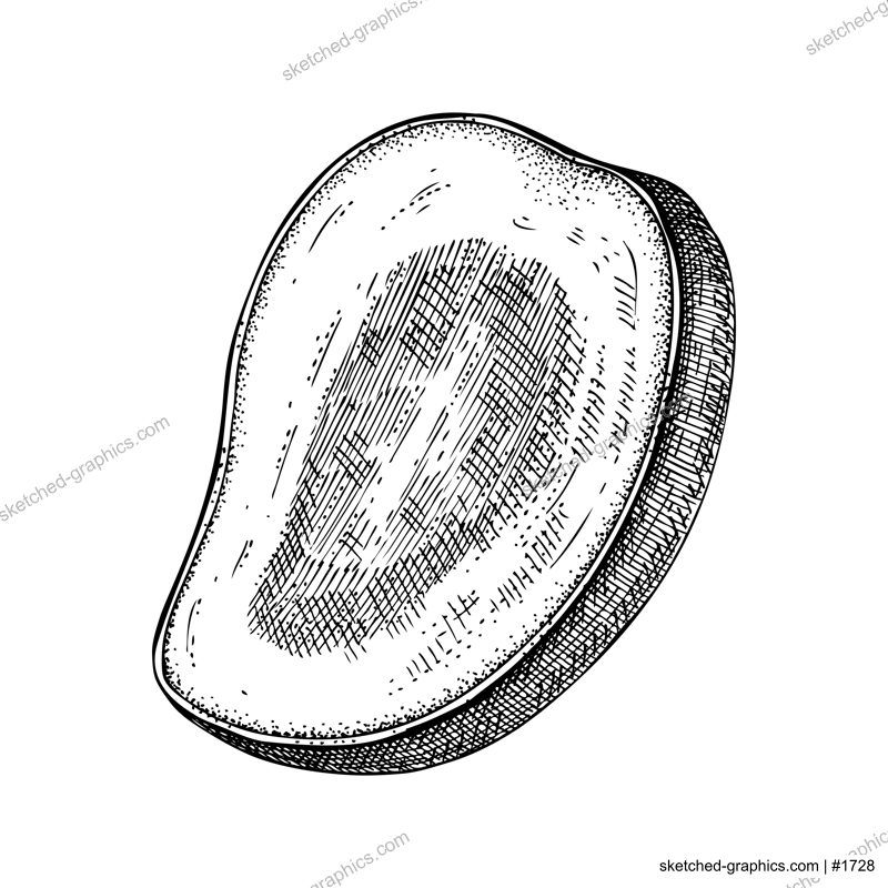 Hand drawn mango sketch. Tropical fruit vector illustration isolated on white background. Half mango in engraved style. Botanical drawing for label, juice packaging design, menu
