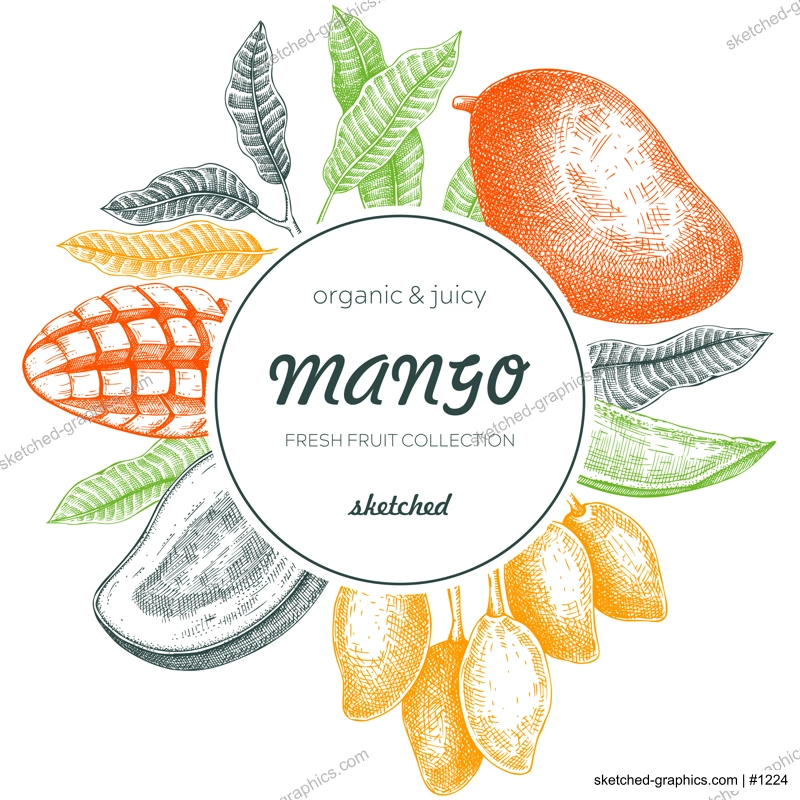  Tropical fruit banner. Summer background. Mango sketch, hand-drawn vector illustration. Juice packaging, invitation card template, print design. NOT AI generated